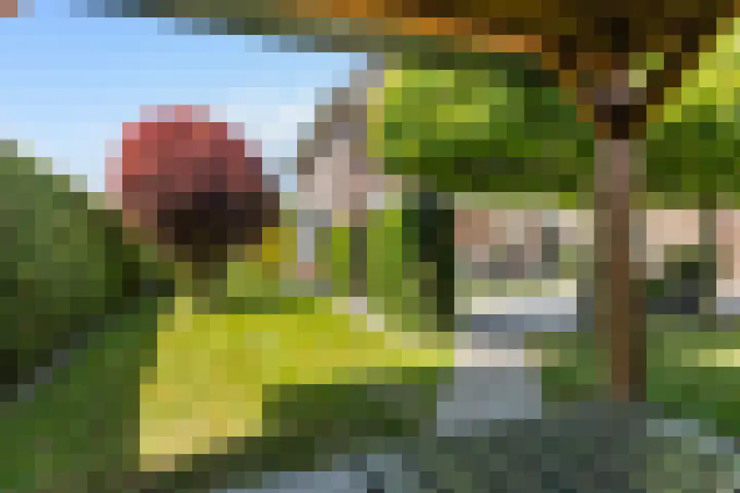 De Nije Kamers 14 St.-Annaparochie thumbnail 49