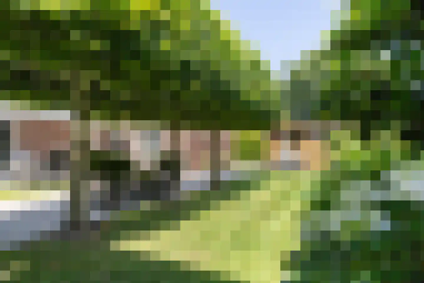 De Nije Kamers 14 St.-Annaparochie thumbnail 50