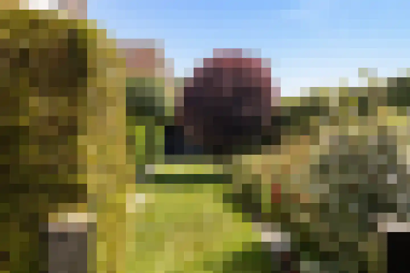 De Nije Kamers 14 St.-Annaparochie thumbnail 53