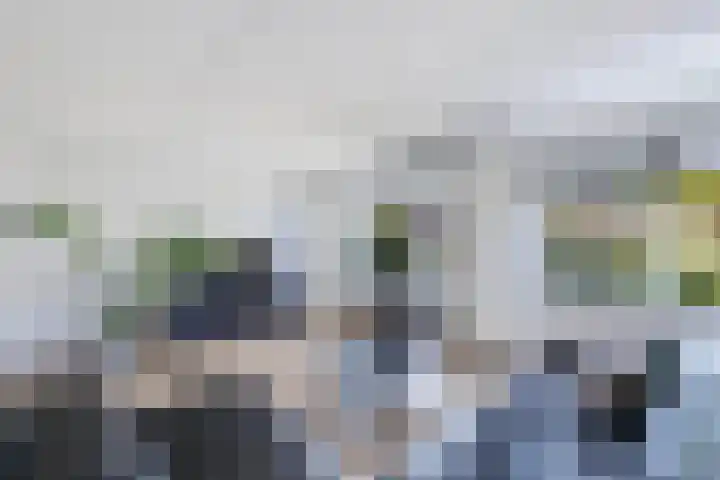 De Nije Kamers 4 St.-Annaparochie thumbnail 12