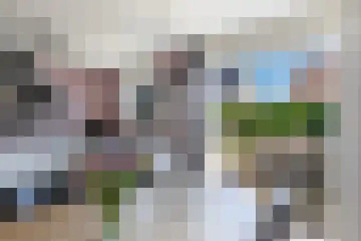 De Nije Kamers 4 St.-Annaparochie thumbnail 21