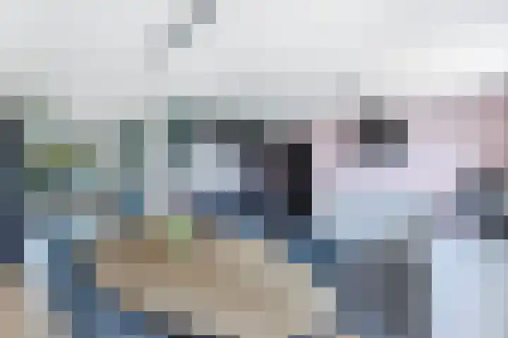 De Nije Kamers 4 St.-Annaparochie thumbnail 22