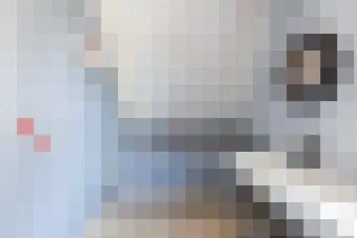 De Nije Kamers 4 St.-Annaparochie thumbnail 38