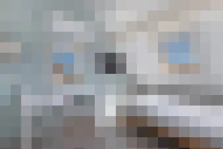 De Nije Kamers 4 St.-Annaparochie thumbnail 45