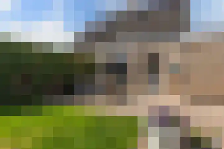 De Nije Kamers 4 St.-Annaparochie thumbnail 63