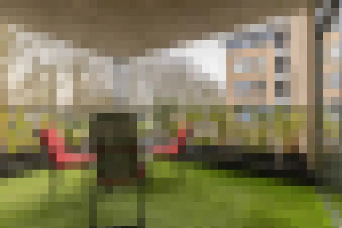 De nije nering 56 12 Hoogeveen thumbnail 15