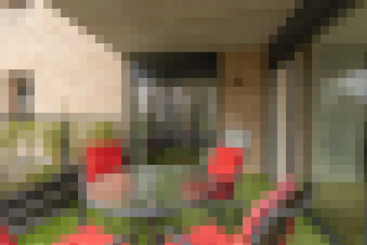 De nije nering 56 12 Hoogeveen thumbnail 16