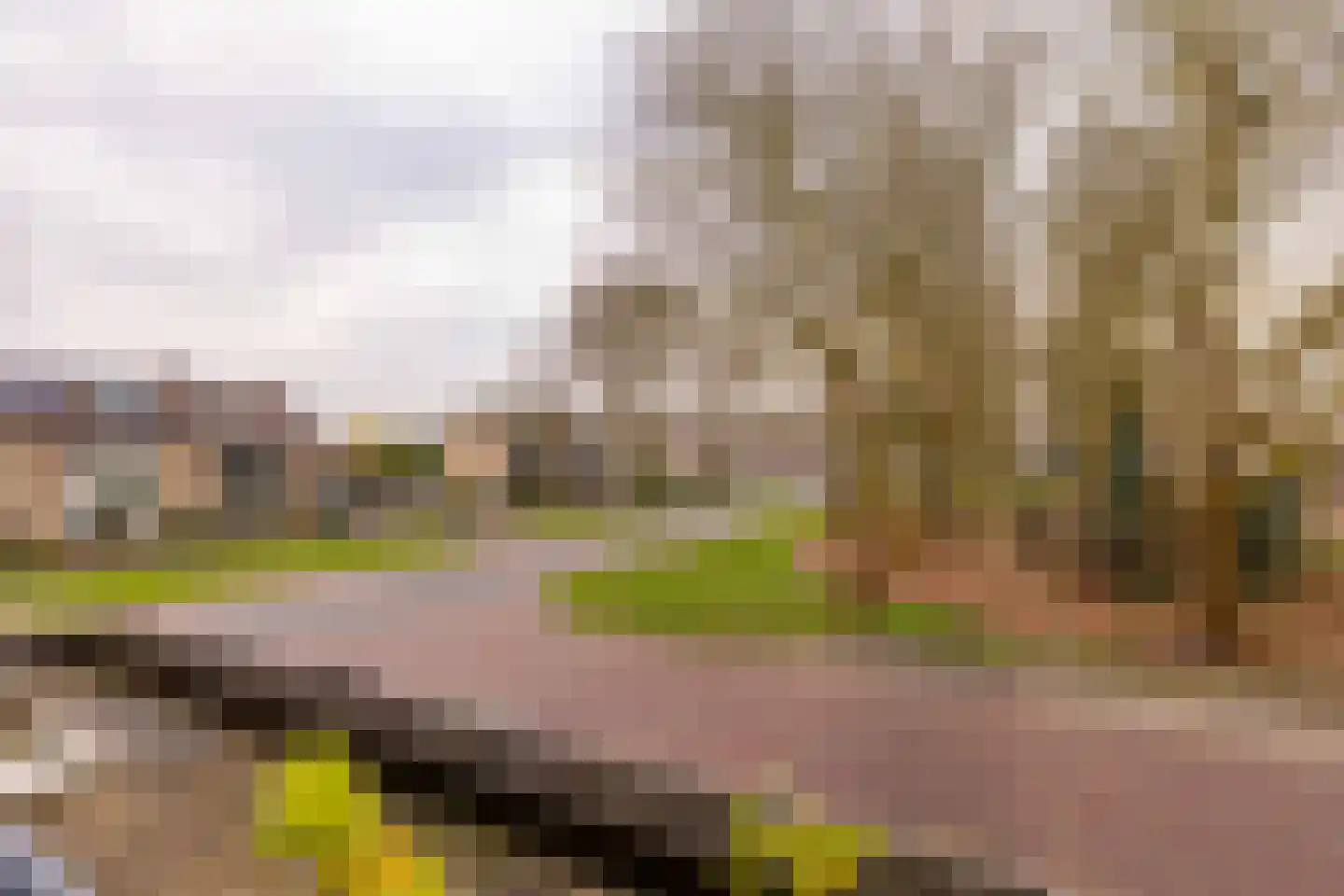 De nije nering 56 12 Hoogeveen thumbnail 17