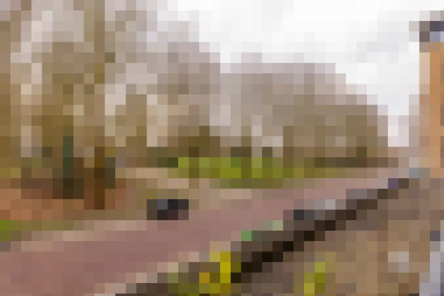 De nije nering 56 12 Hoogeveen thumbnail 18