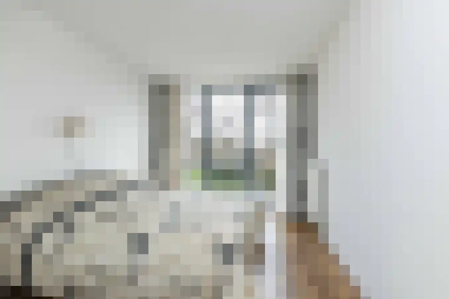 De nije nering 56 12 Hoogeveen thumbnail 29