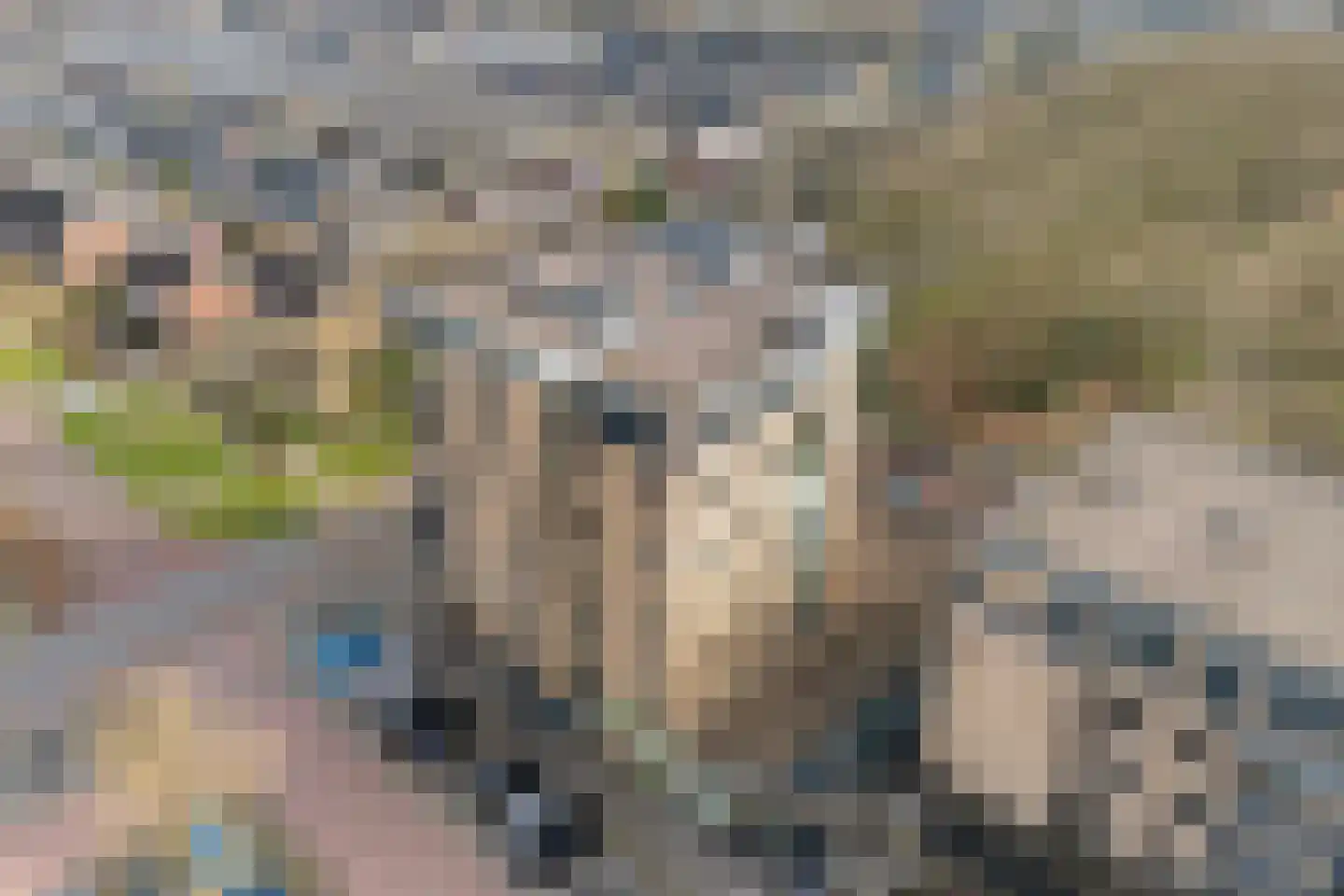 De nije nering 56 31 Hoogeveen thumbnail 37