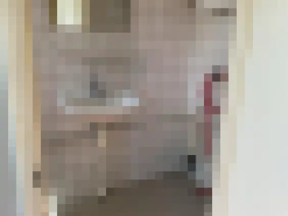 De Nijkampen 28 Emmen thumbnail 4