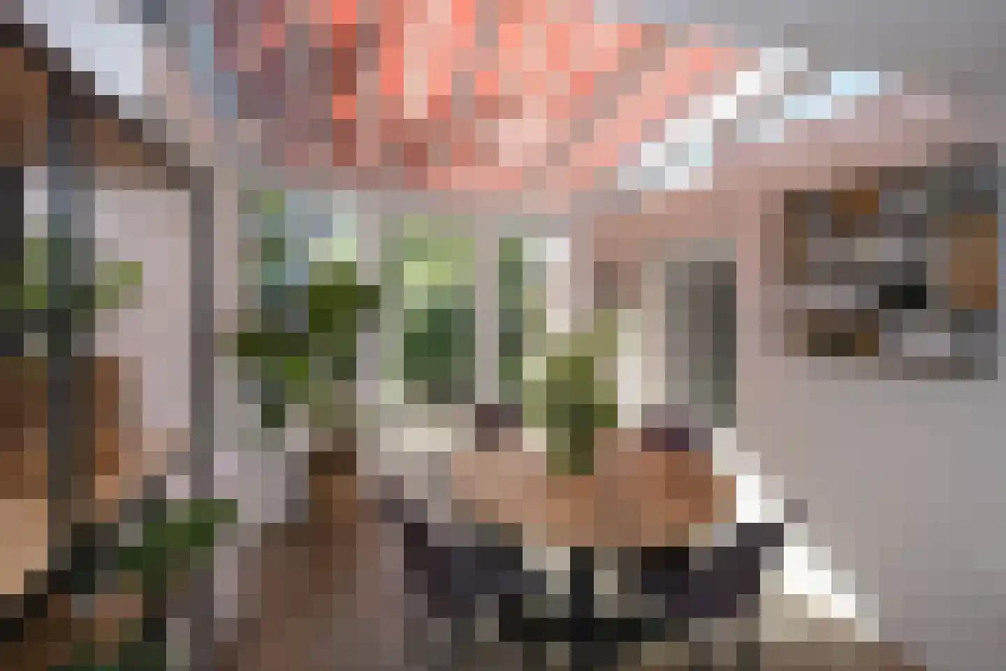 De Nijverheid 11 Drachten thumbnail 16