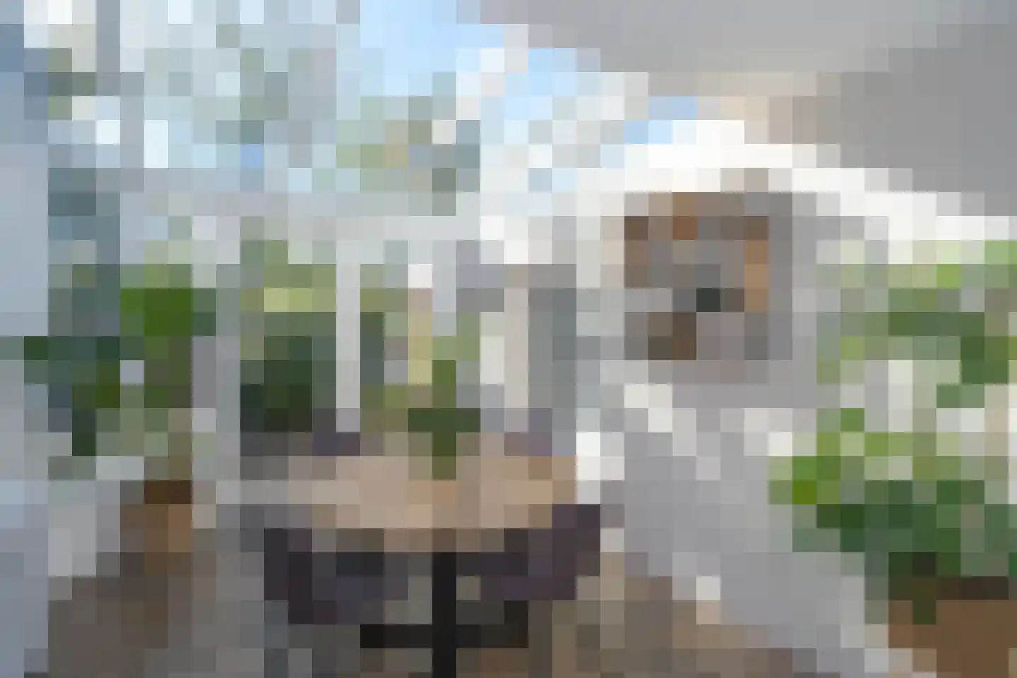 De Nijverheid 11 Drachten thumbnail 17