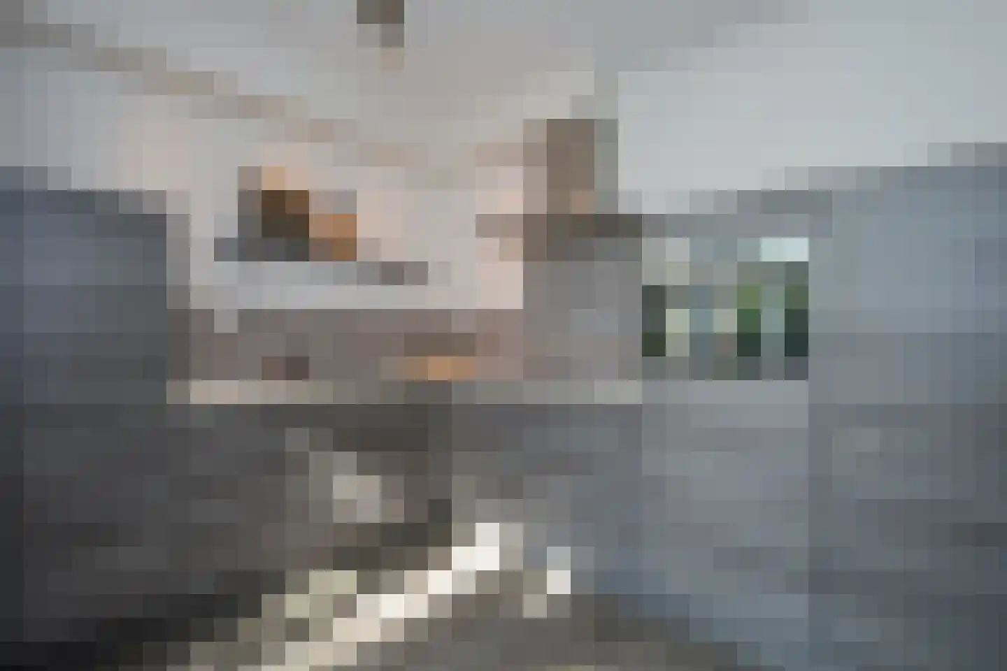 De Nijverheid 11 Drachten thumbnail 4