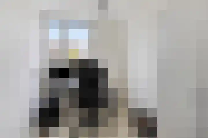 De Nijverheid 170 Drachten thumbnail 28