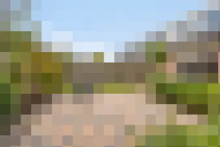 De Nijverheid 170 Drachten thumbnail 30