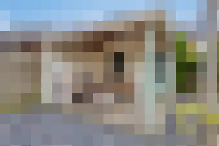De Nijverheid 170 Drachten thumbnail 32