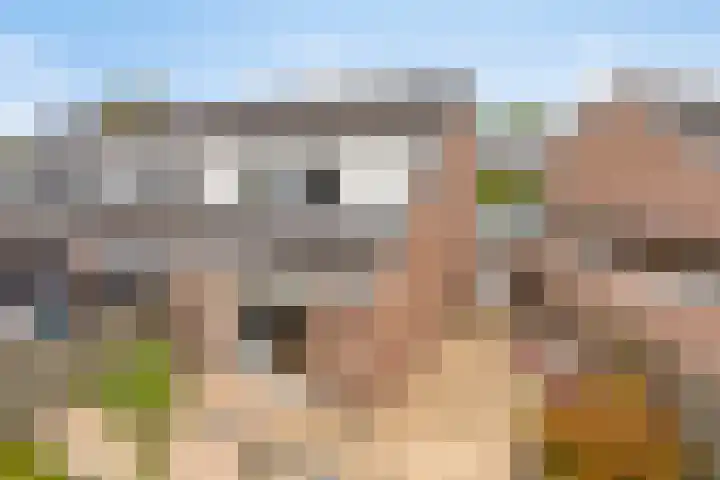 De Nijverheid 170 Drachten thumbnail 34