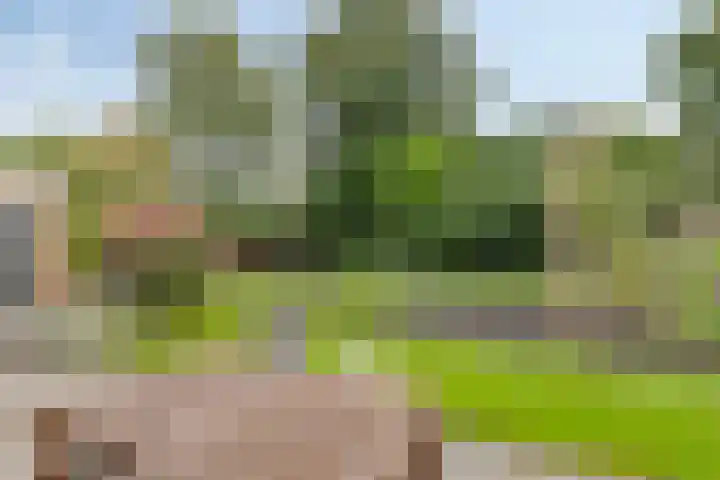 De Nijverheid 23 Drachten thumbnail 27