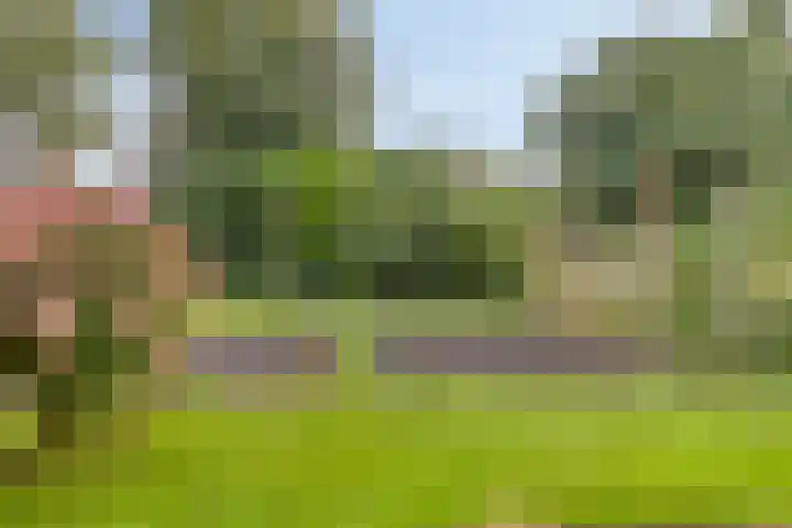 De Nijverheid 23 Drachten thumbnail 28