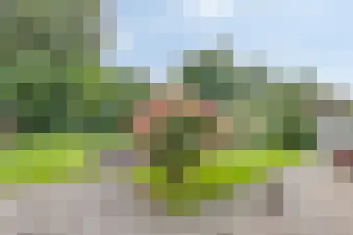 De Nijverheid 23 Drachten thumbnail 29