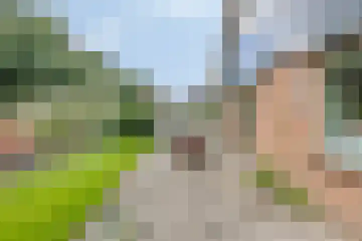 De Nijverheid 23 Drachten thumbnail 30