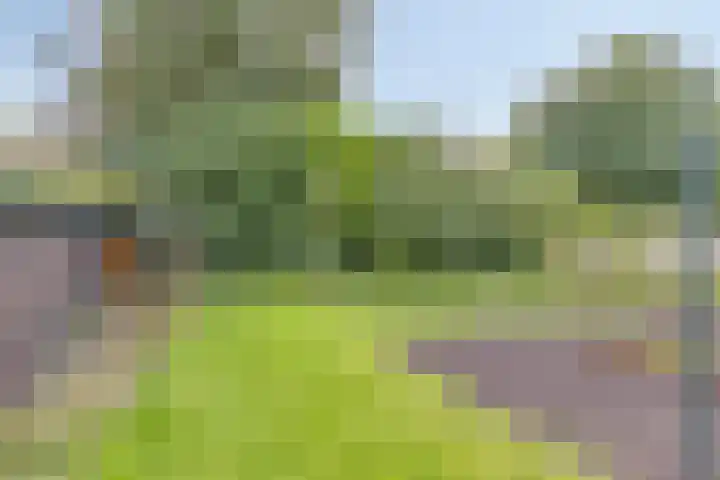 De Nijverheid 23 Drachten thumbnail 31