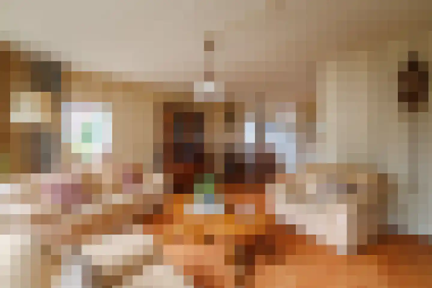 De Nijverheid 33 Vroomshoop thumbnail 10