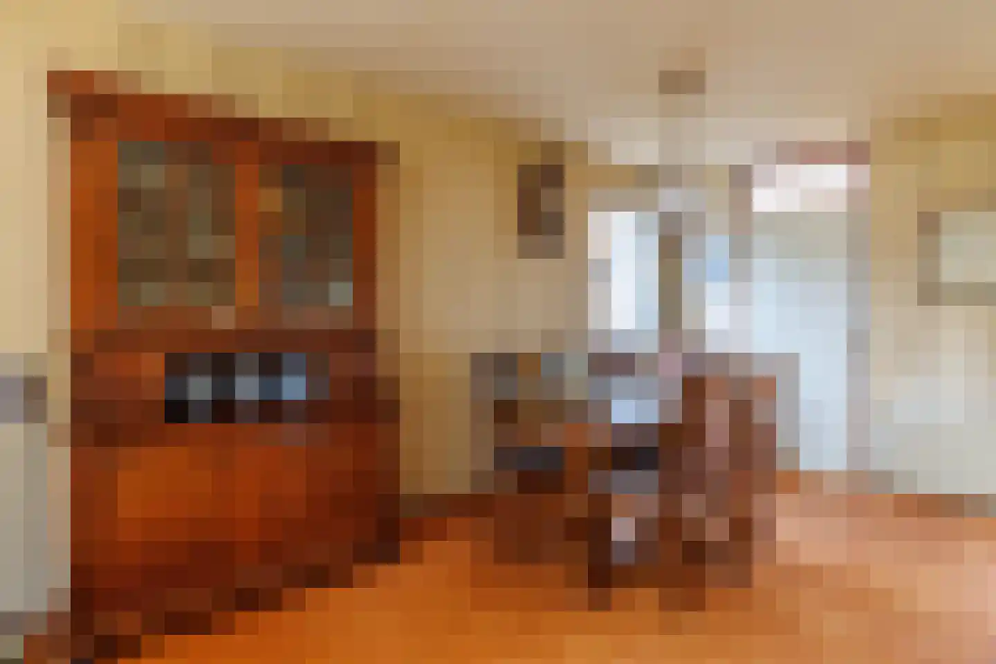 De Nijverheid 33 Vroomshoop thumbnail 12