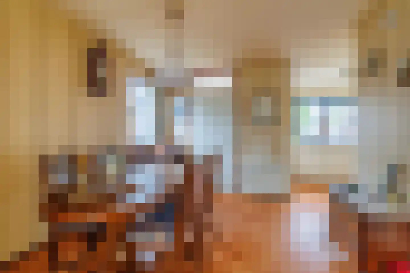 De Nijverheid 33 Vroomshoop thumbnail 13