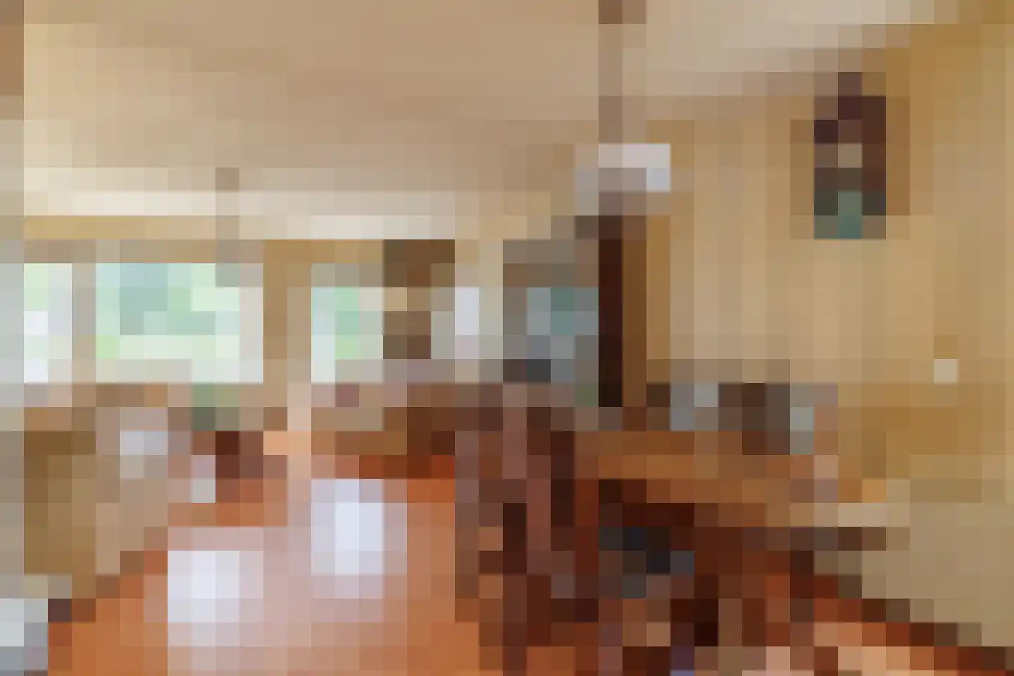 De Nijverheid 33 Vroomshoop thumbnail 14