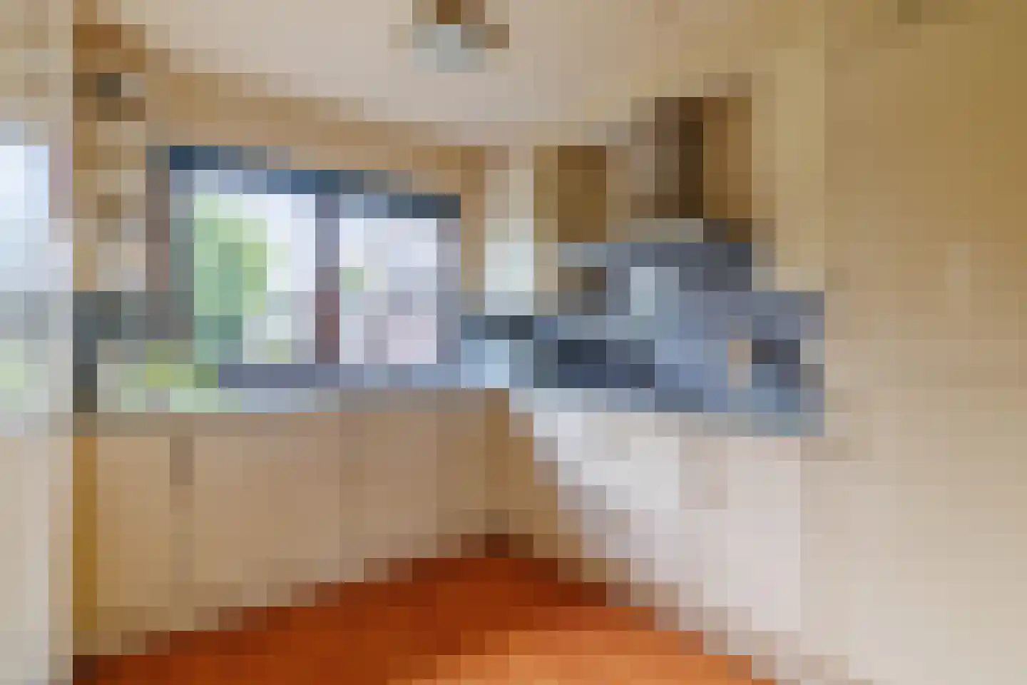 De Nijverheid 33 Vroomshoop thumbnail 15