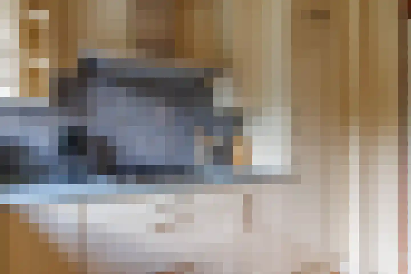 De Nijverheid 33 Vroomshoop thumbnail 17
