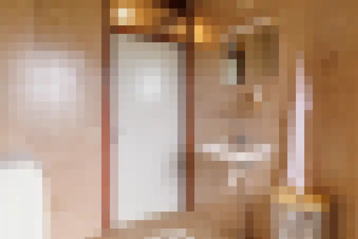De Nijverheid 33 Vroomshoop thumbnail 19