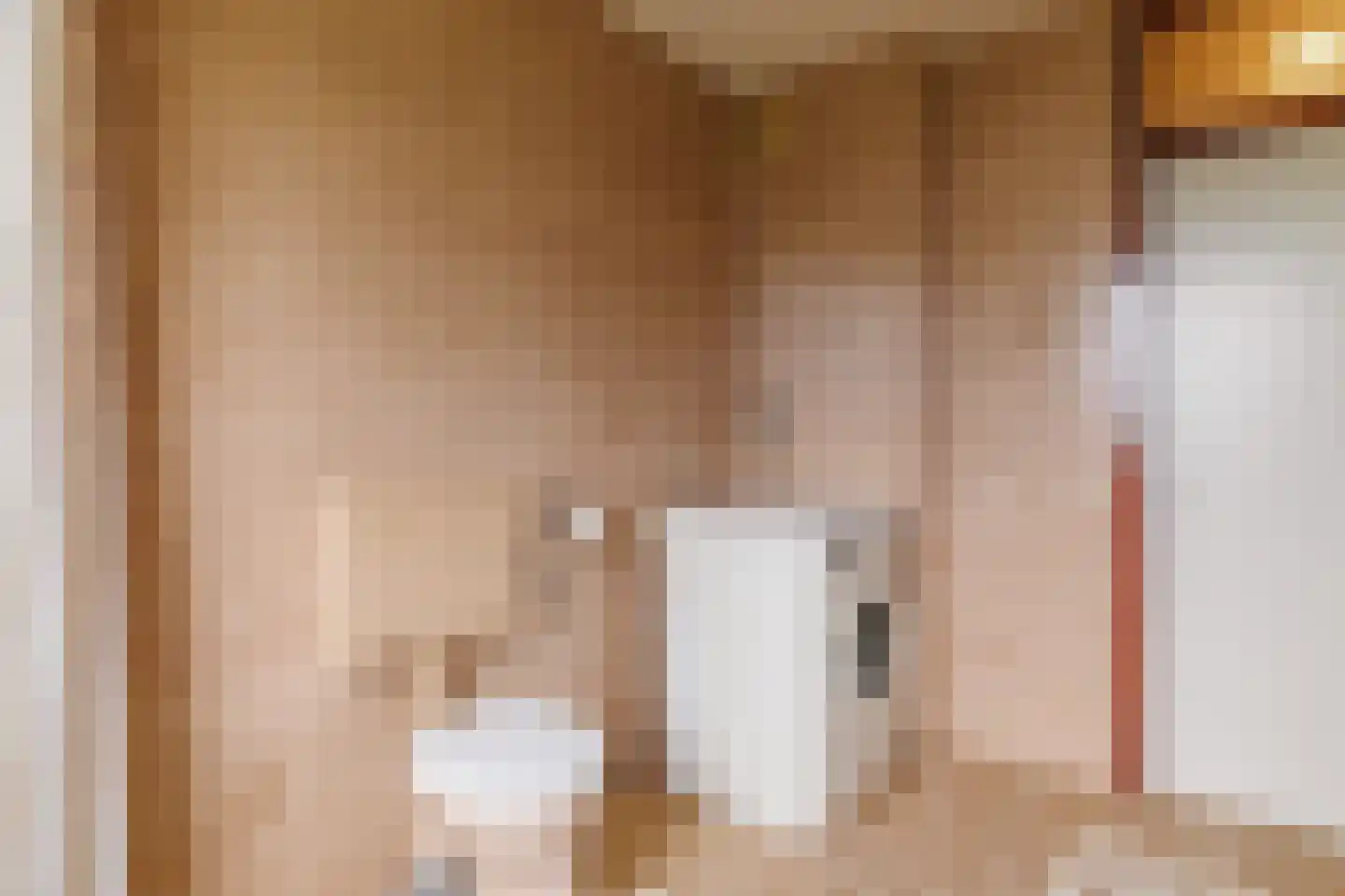 De Nijverheid 33 Vroomshoop thumbnail 20