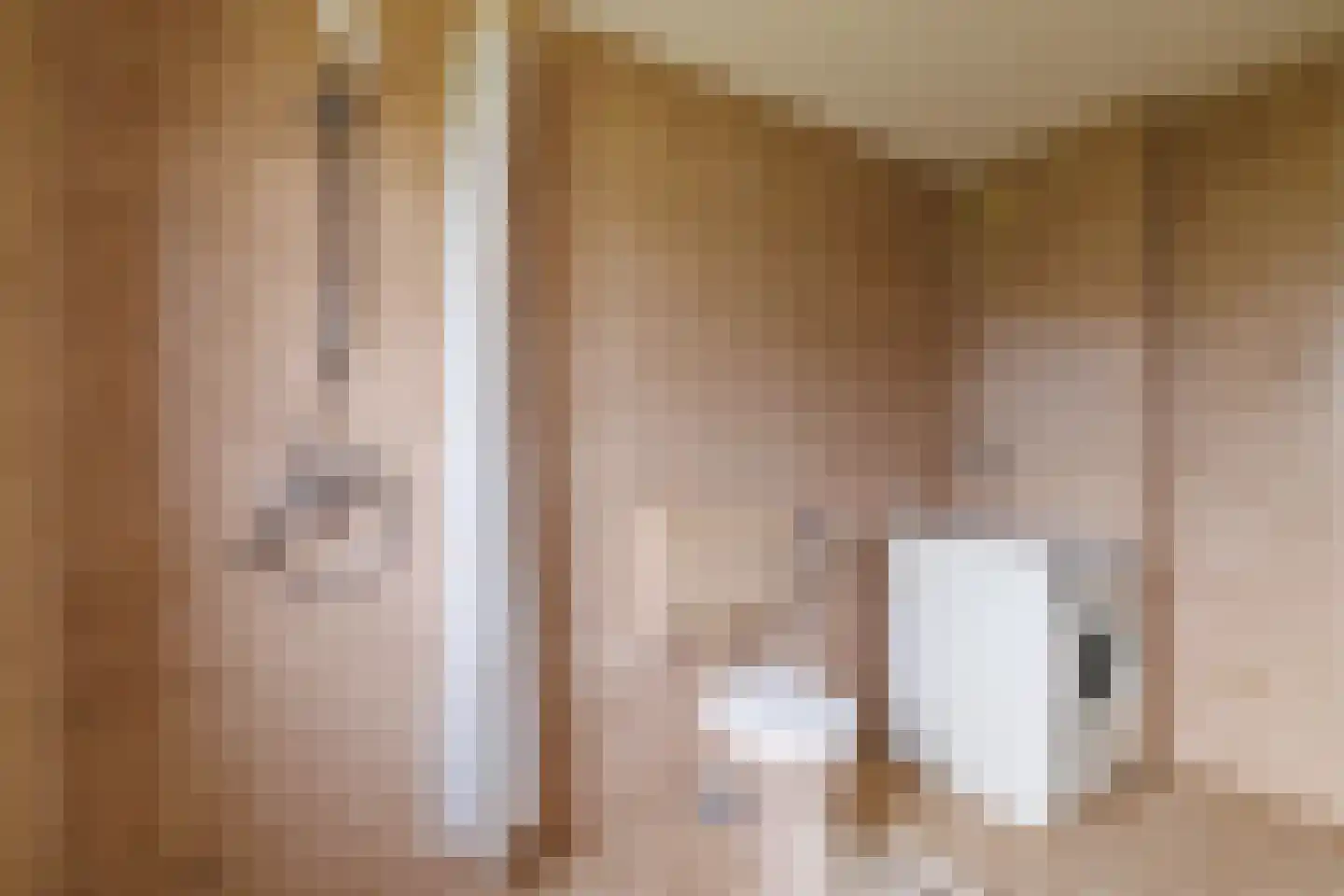 De Nijverheid 33 Vroomshoop thumbnail 21