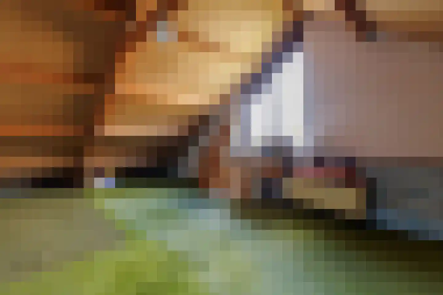 De Nijverheid 33 Vroomshoop thumbnail 22