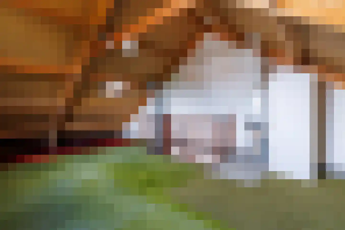 De Nijverheid 33 Vroomshoop thumbnail 23