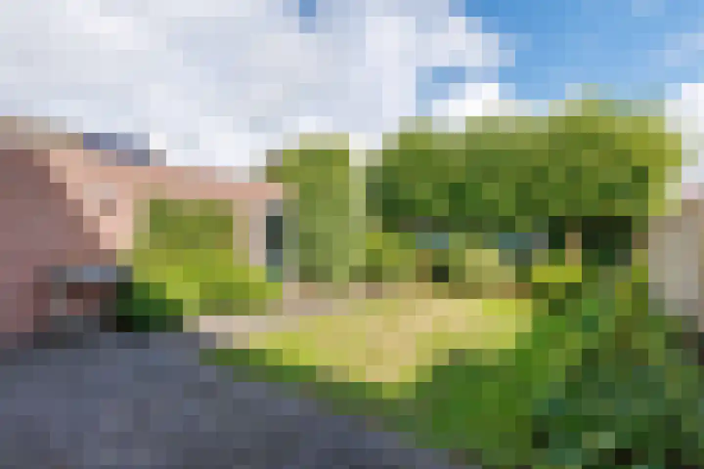 De Nijverheid 33 Vroomshoop thumbnail 26