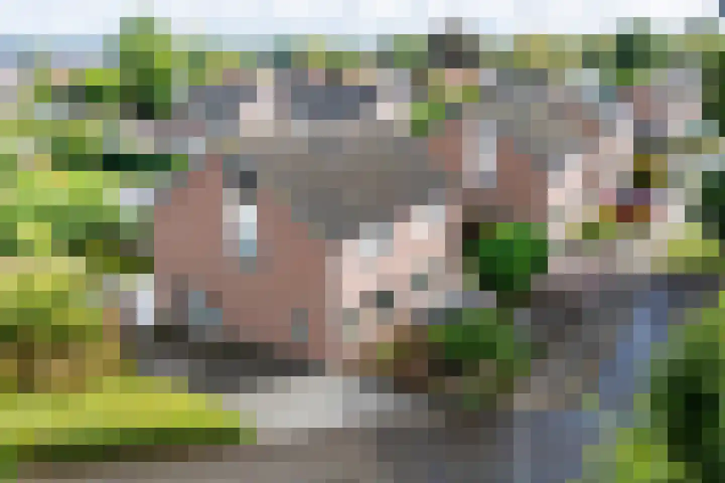 De Nijverheid 33 Vroomshoop thumbnail 28