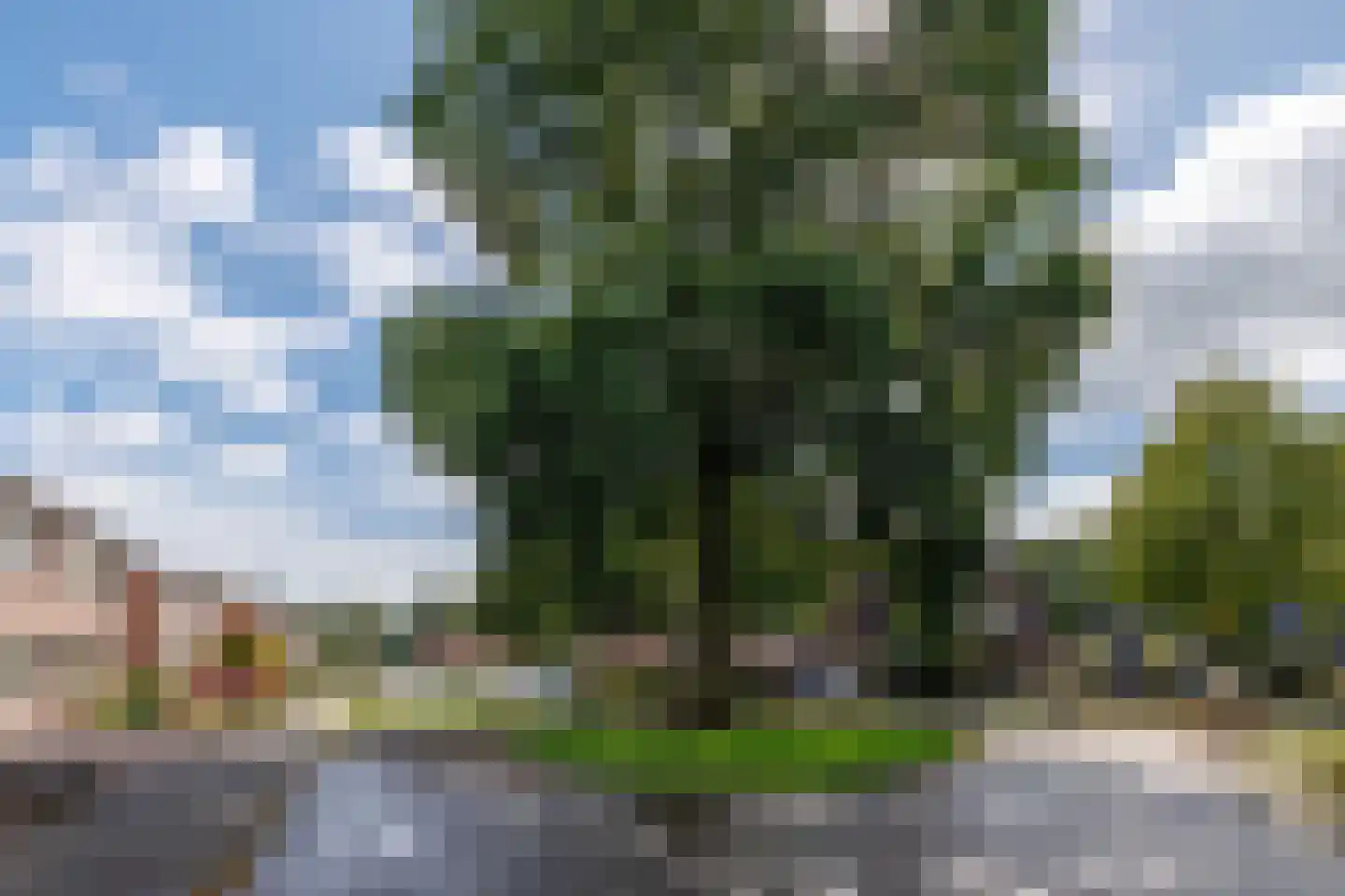 De Nijverheid 33 Vroomshoop thumbnail 32