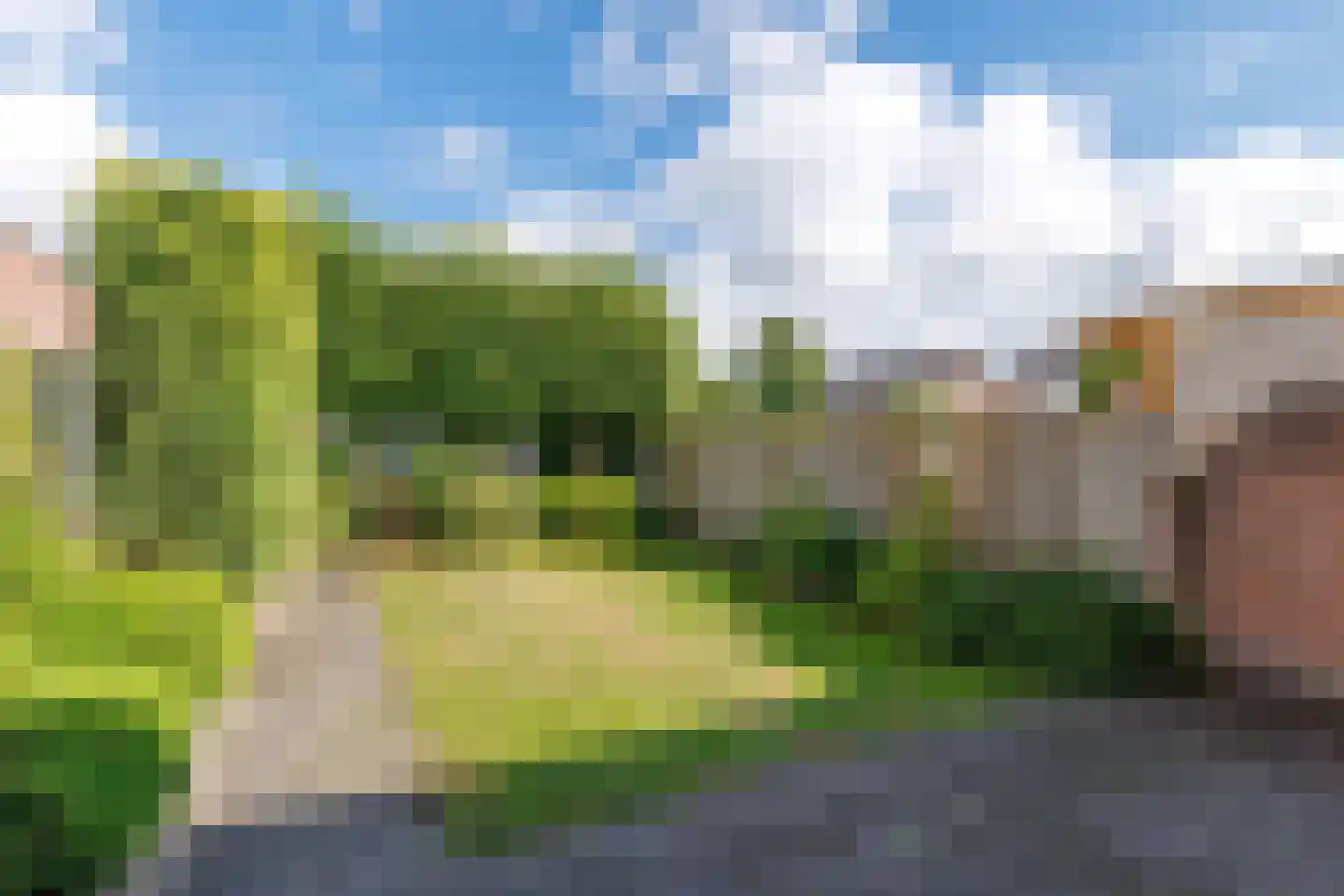 De Nijverheid 33 Vroomshoop thumbnail 4