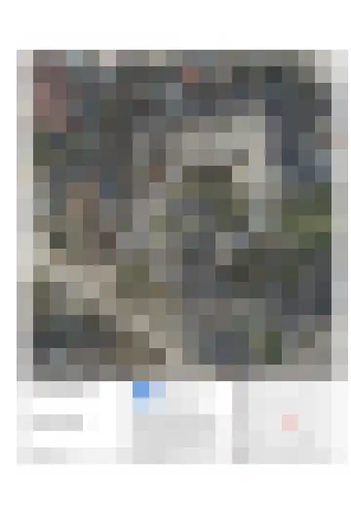 De Nijverheid 33 Vroomshoop thumbnail 41