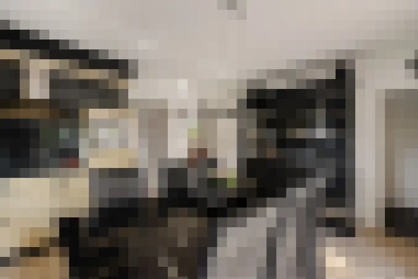 De Noesten 10 Westerbork thumbnail 17