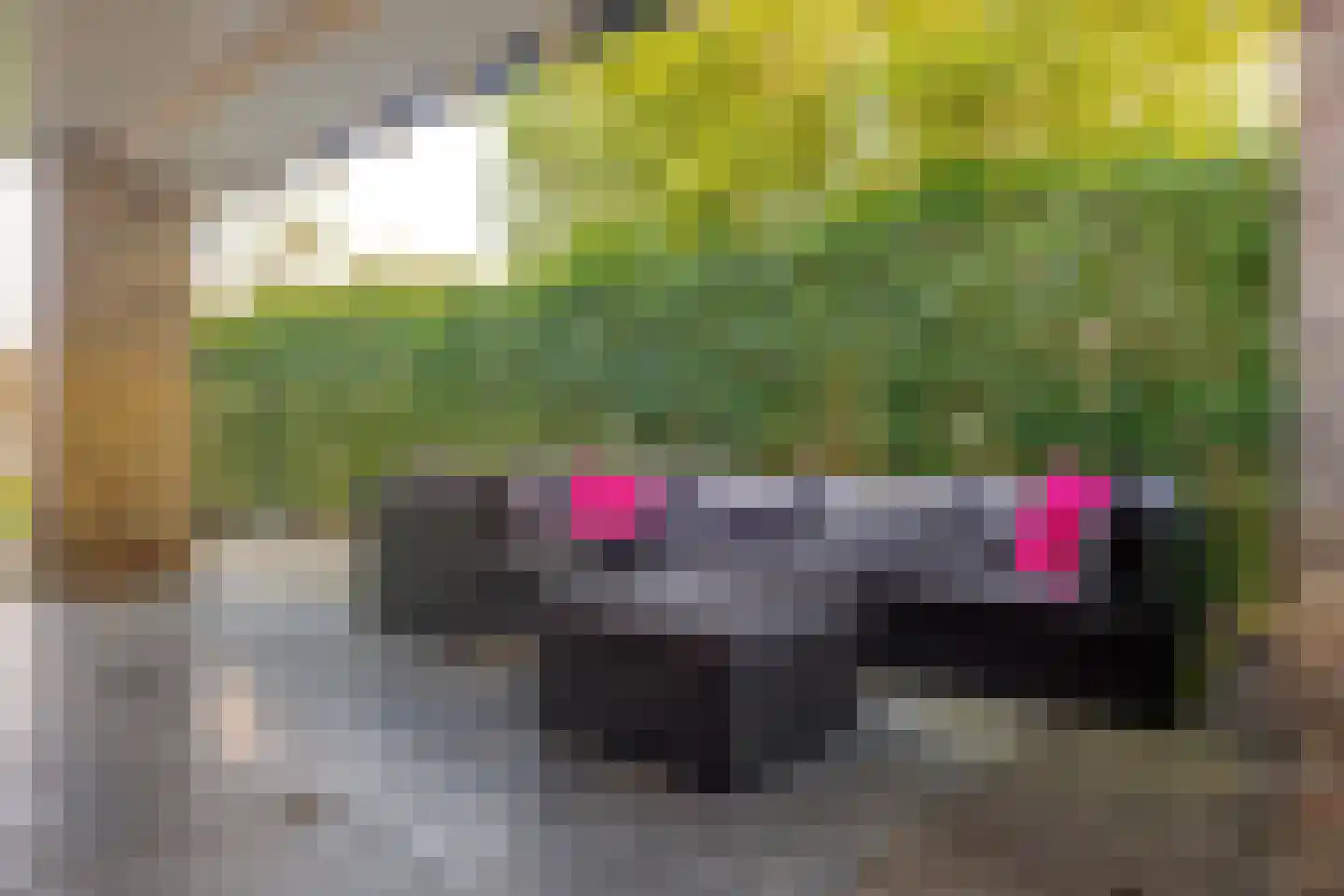 De Noesten 90 Westerbork thumbnail 47