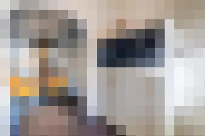 De Nolle 19 Haaksbergen thumbnail 10