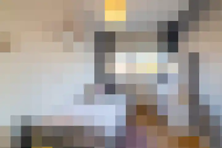 De Nolle 19 Haaksbergen thumbnail 15