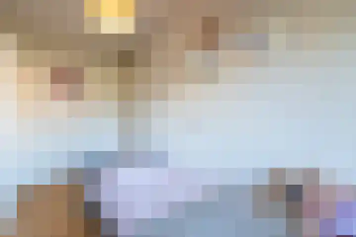 De Nolle 19 Haaksbergen thumbnail 16