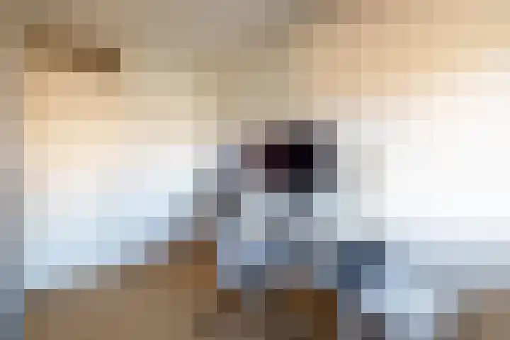 De Nolle 19 Haaksbergen thumbnail 18